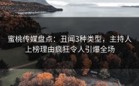 蜜桃传媒盘点：丑闻3种类型，主持人上榜理由疯狂令人引爆全场