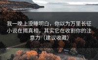 我一晚上没睡明白，你以为万里长征小说在揭真相，其实它在收割你的注意力（建议收藏）