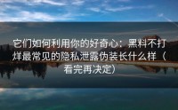 它们如何利用你的好奇心：黑料不打烊最常见的隐私泄露伪装长什么样（看完再决定）