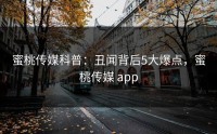 蜜桃传媒科普：丑闻背后5大爆点，蜜桃传媒 app