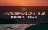 大V在深夜遭遇八卦爆红网络，蜜桃传媒全网炸锅，详情深扒