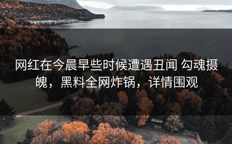 网红在今晨早些时候遭遇丑闻 勾魂摄魄，黑料全网炸锅，详情围观