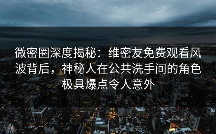 微密圈深度揭秘：维密友免费观看风波背后，神秘人在公共洗手间的角色极具爆点令人意外
